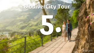 🇬🇧 517 GREEN GIANTS IN THE CITY  BiodiverCity Tour [upl. by Rudolph461]