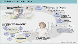 Informacion sobre CAR T Cell Therapy  LRF Webinars [upl. by Ailssa]