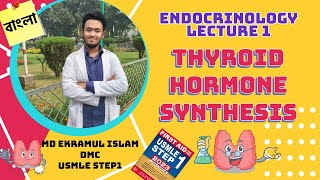 Thyroid Hormone Synthesis  Endocrinology [upl. by Tj]