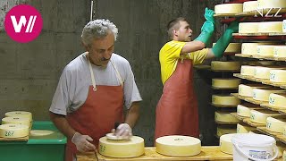 Cheesemaking  visiting a Swiss dairyman [upl. by Airrej]