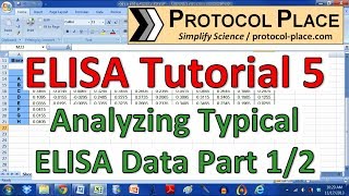 ELISA Tutorial 5 Preparing ELISA Data in Excel for Analysis with GraphPad Prism [upl. by Kelli95]