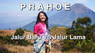 PENDAKIAN GUNUNG PRAU via PATAK BANTENG  Sejarah Jalur Prau TERLENGKAP [upl. by Frechette]