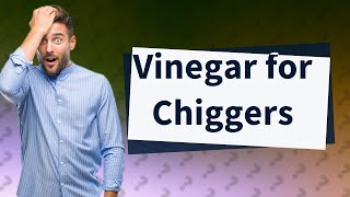 Does vinegar work on chiggers [upl. by Pilihp]