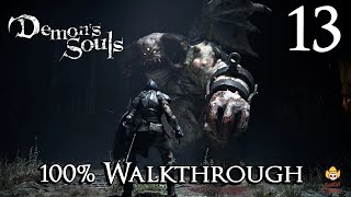 Demons Souls Remake  Walkthrough Part 13 Inner Ward 13 [upl. by Haletky]