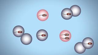 Droplet Digital PCR for Food Testing [upl. by Marlane787]