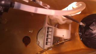 Value Flush dual flush Toilet Adapter Flush Action [upl. by Shannen642]