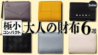 【コンパクト】最強ブランドの小さい財布を厳選！ 【ボッテガ・ヴェネタ】【ロエベ】【ジル サンダー】【メゾンマルジェラ】【マルニ】 [upl. by Blatt]