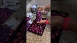 Ivalavu kamiya kedaikathu Sep 1 subscribe shorts youtubeshorts trending cooking vlog [upl. by Leasia]