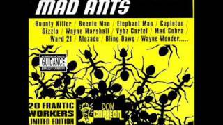 Mad Cobra  Boom Wuk Mad Ants Riddim [upl. by Akcirred]