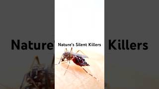 Nature’s Silent Killers The Deadliest Insects on Earth [upl. by Naashar]