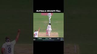 Australia Wickets Fall shorts [upl. by Ailuj625]