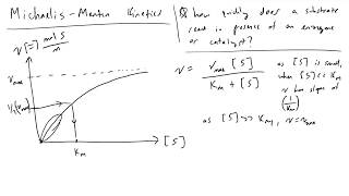 Michaelis Menten Kinetics [upl. by Engamrahc]