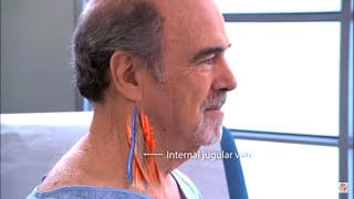 Examination of the jugular venous pulse  JVP examination Procedure video [upl. by Nnaeirrac159]