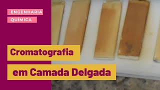 CROMATOGRAFIA EM CAMADA DELGADA  VÍDEO SEM SOM [upl. by Emili]