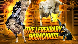 Bodacious Uncover the Untold Story of a Legendary Bull [upl. by Shalne164]