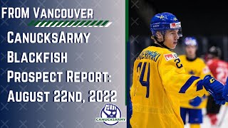 Blackfish The CanucksArmy Prospect Report Linus Karlssons amp Nils Höglander World Juniors Recap [upl. by Sucramel859]