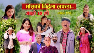 घाँसको निहुमा लफडा IIGaro Chha HoII Epi 220IISept 16 2024 IIBegam Sundari Nawina Binod Rajkumar [upl. by Gerome]