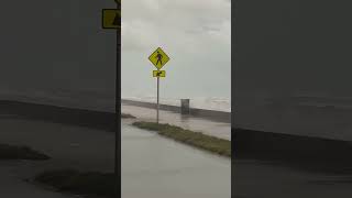 strength of hurricane milton in florida Nature sounds [upl. by Rozella93]