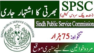 SPSC Jobs 2024  SPSC Online Apply  Sindh Government Jobs [upl. by Tomkin]