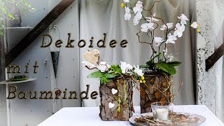 Dekoidee mit Baumrindeâœ”  DIY [upl. by Leban]