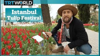 Istanbuls International Tulip Festival [upl. by Nnylahs]