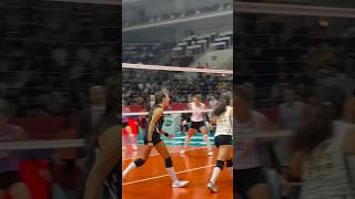 🟡⚫️ Caterina Bosetti 🏐 caterinabosetti vakıfbank sultanlarligi voleybol [upl. by Violetta657]