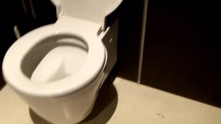 Newer Stylish DURAVIT Toilet [upl. by Nyrual]