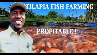 BEST ECONOMICALLY VIABLE TILAPIA FARM SIZE [upl. by Quar]