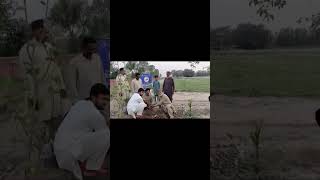 Environment Protection Plantation model village mera gaon Rasoolpure faisalabad [upl. by Arrac55]