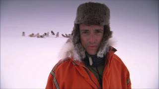 Top Gear Polar Special  The Problem with the Dogs [upl. by Meyer]