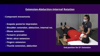 PNF Proprioceptive Neuromuscular Facilitation for the Upper Extremity [upl. by Nohtiek435]