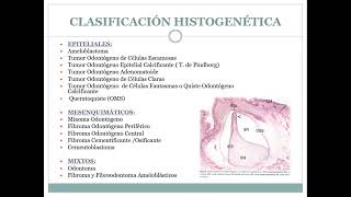 TUMORES ODONTOGÉNICOS 2022 [upl. by Naols]