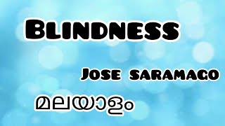 Blindness Malayalam SummaryJose Saramago [upl. by Mahla537]