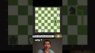 WHAT WILL YOU PROMOTE⁉️⚔️ checkmate sacrificebrilliant edit chess puzzle shorts viral [upl. by Nalhsa]