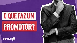 O que faz um PROMOTOR DE JUSTIÃ‡A [upl. by Lillie85]