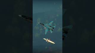 R77 Missile launchTrack F14A  Su27SM launch R77 AMRAMM missile aviation airforce military su27 [upl. by Adrell]