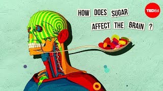 How sugar affects the brain  Nicole Avena [upl. by Akirehs]