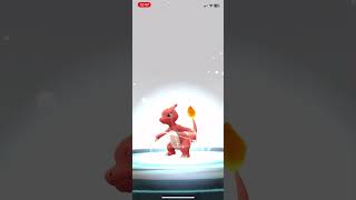 Evolve charmeleon in Pokémon go pokemongo [upl. by Ilat]