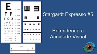 Stargardt Expresso 5 quotEntendendo a Acuidade Visualquot [upl. by Ahsenom]