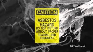 Malignant Mesothelioma amp Asbestos [upl. by Shewmaker980]