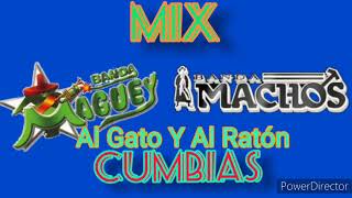 BANDA MACHOS VS BANDA MAGUEY MIX CUMBIAS [upl. by Assek]