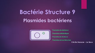 Bactérie Structure 9 MATERIEL GENETIQUE  PLASMIDES sans musique de fond [upl. by Yeneffit211]