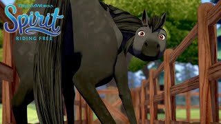 Causing Chaos at Graysons Farm  SPIRIT RIDING FREE  Netflix [upl. by Murdock]