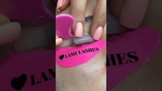 Lash lift step by step All products you can find in my bio [upl. by Analahs]