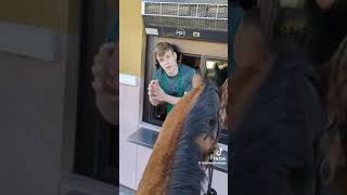 horse lady mad funnyshorts funnymemes women horse mcdonalds [upl. by Acinoed]