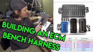 Building an ECM Bench Harness To Do Off Car Programming [upl. by Ymled]