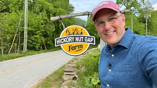 Hickory Nut Gap Farm [upl. by Nylanna545]