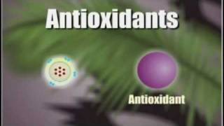 How Antioxidants Work [upl. by Buskirk699]