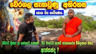 වේරගල සැඟවුණු අභිරහස  Veragala Segaunu Abirahasa srilanka travelvishwashakthi [upl. by Oliy401]