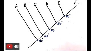 Sistemática Filogenética  Resumo Professor Gustavo [upl. by May381]